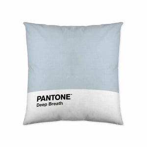 Cushion cover Deep Breath Pantone 63836304 50 x 50 cm