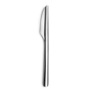 Knife Set Amefa Ecologic Slim Metal Steel (12 Units)