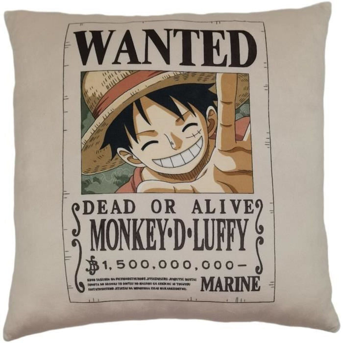 Cushion One Piece