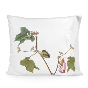 V7HA85B3B149A764BF50FDF0979073484CER5207915P1