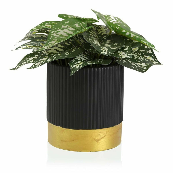 Plant pot Versa Black Plastic Squared (2 Units) (Refurbished A)