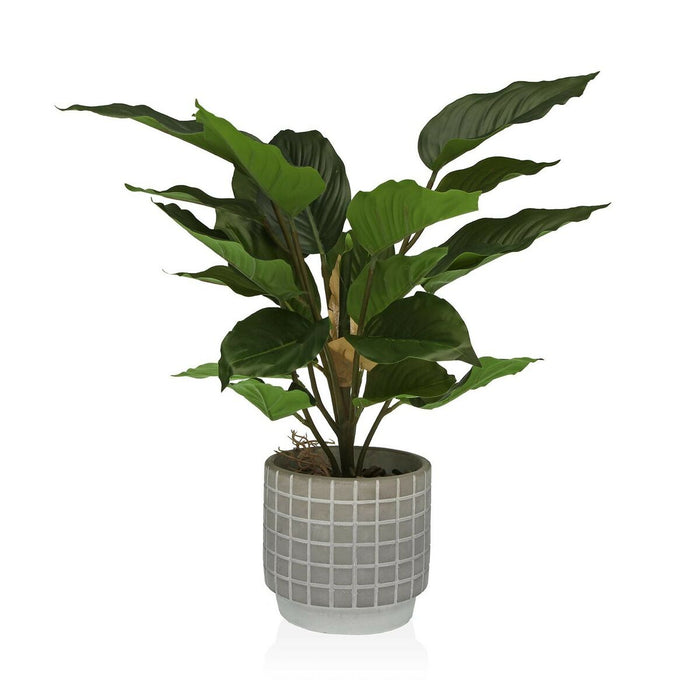 Decorative Plant Versa Cement Plastic 15 x 47 x 15 cm