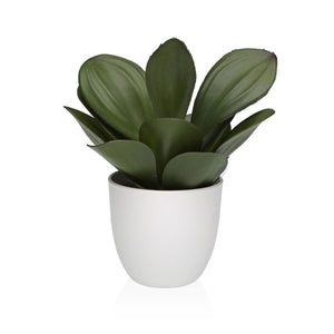 V4HD9D96B42BB707BA530C70AA20D75D112R6831690P1