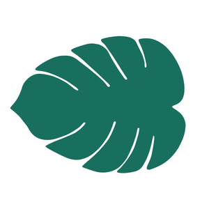 V6HA1539F76D8877BB5DFEBEF25E7675CBCR5430323P1