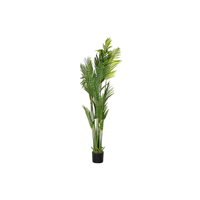 Decorative Plant DKD Home Decor Palms Green PE (50 x 50 x 180 cm)