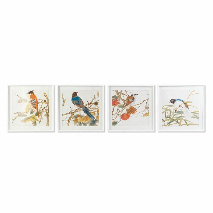 Painting DKD Home Decor 60 x 2,5 x 60 cm Bird Shabby Chic (4 Pieces)