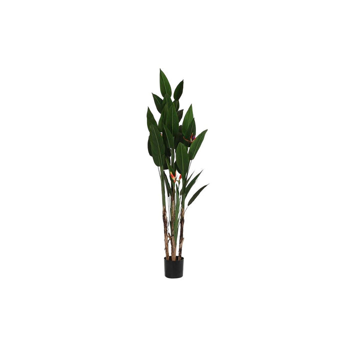 Decorative Plant DKD Home Decor (90 x 90 x 200 cm)