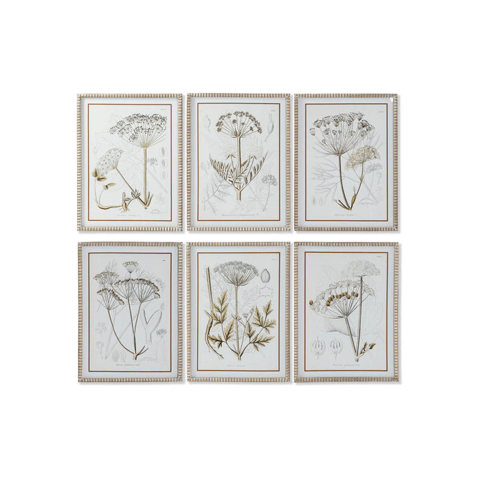 Painting DKD Home Decor Modern Botanical plants 45 x 2,5 x 60 cm (6 Units)