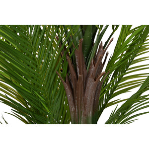 Decorative Plant Home ESPRIT Polyethylene Cement Palm tree 100 x 100 x 235 cm