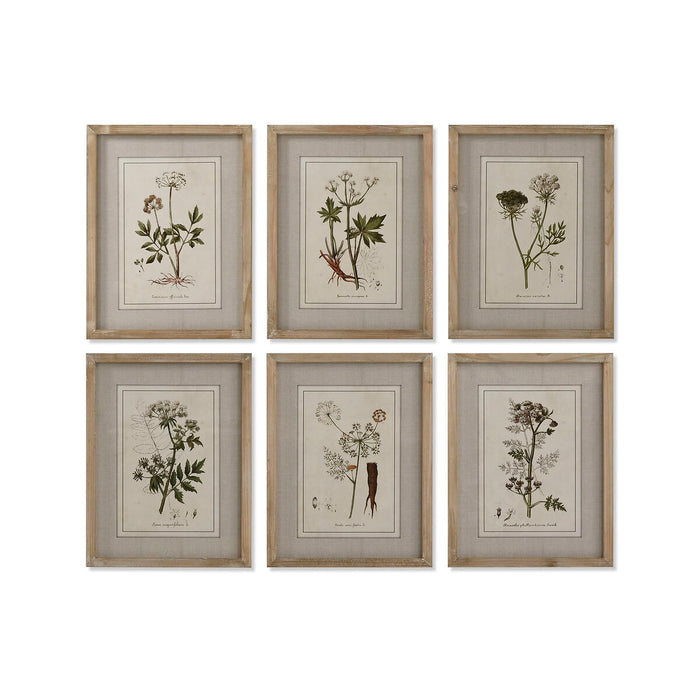 Painting Home ESPRIT Shabby Chic Botanical plants 30 x 2 x 40 cm (6 Units)