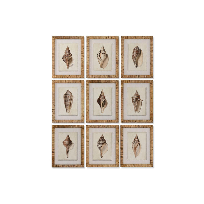 Painting Home ESPRIT Mediterranean Snail 30 x 2,5 x 40 cm (9Units)