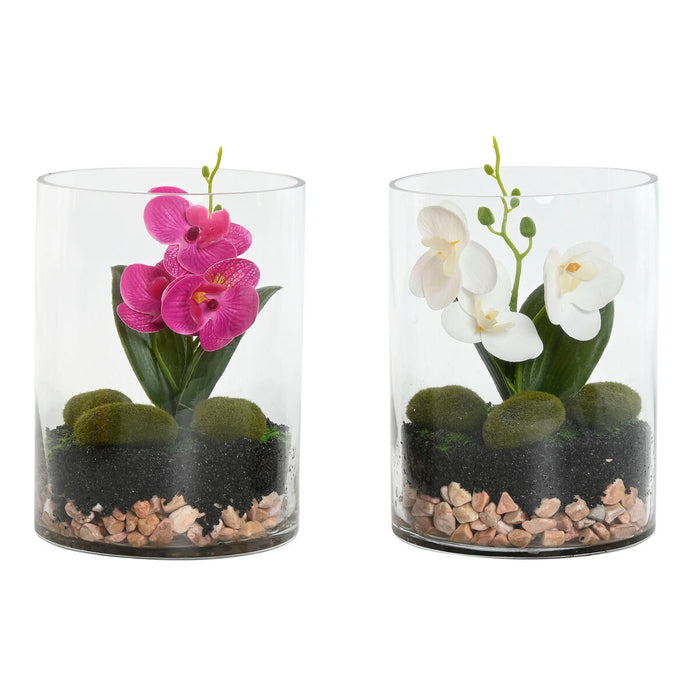 Decorative Plant Home ESPRIT PVC Crystal 15 x 15 x 20 cm (2 Units)