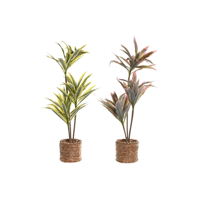 Decorative Plant Home ESPRIT Polyethylene Fibre 30 x 30 x 75 cm (2 Units)