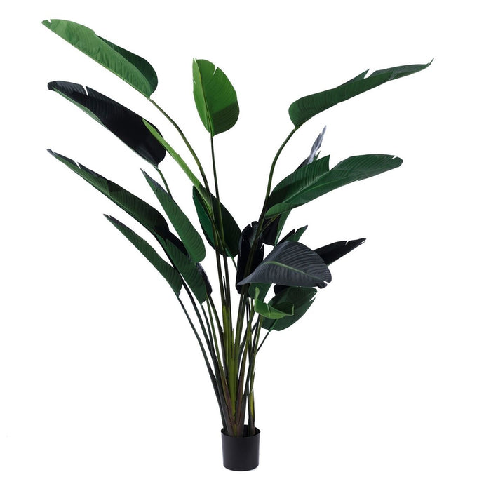 Decorative Plant Polyethylene Iron Cement Bird of paradise 245 cm 120 x 120 x 245 cm