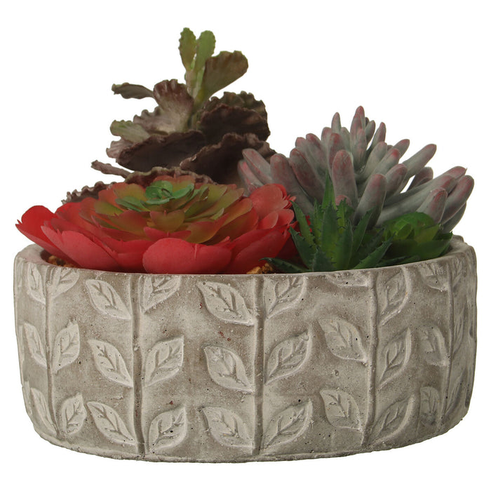 Decorative Plant Alexandra House Living Plastic Succulent 20 x 21 x 18 cm