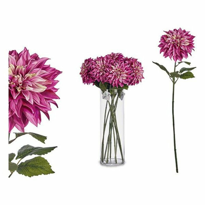 Decorative Flower Ibergarden Green Pink 16 x 74 x 16 cm Dahlia