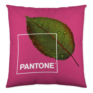 Cushion cover Nature Pantone Reversible 50 x 50 cm