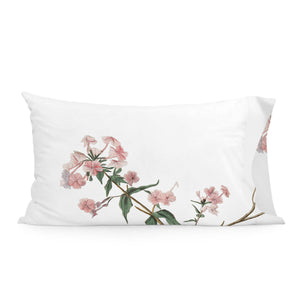 V7H988B4D779F4BD076398E1BD6FDF154CFR5243192P1