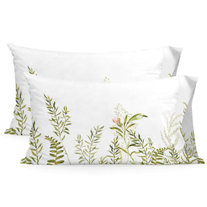 V7HBC728277A79517F4BE873EB9DBD869EAR5215039P1