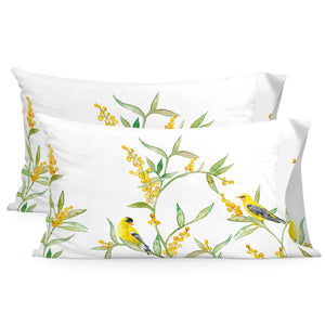 V7H14C88351117D4F96C8DB445159F9F680R5206201P1