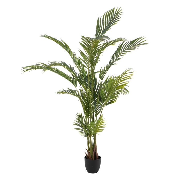 Decorative Plant Polyethylene Palm tree 110 x 110 x 170 cm