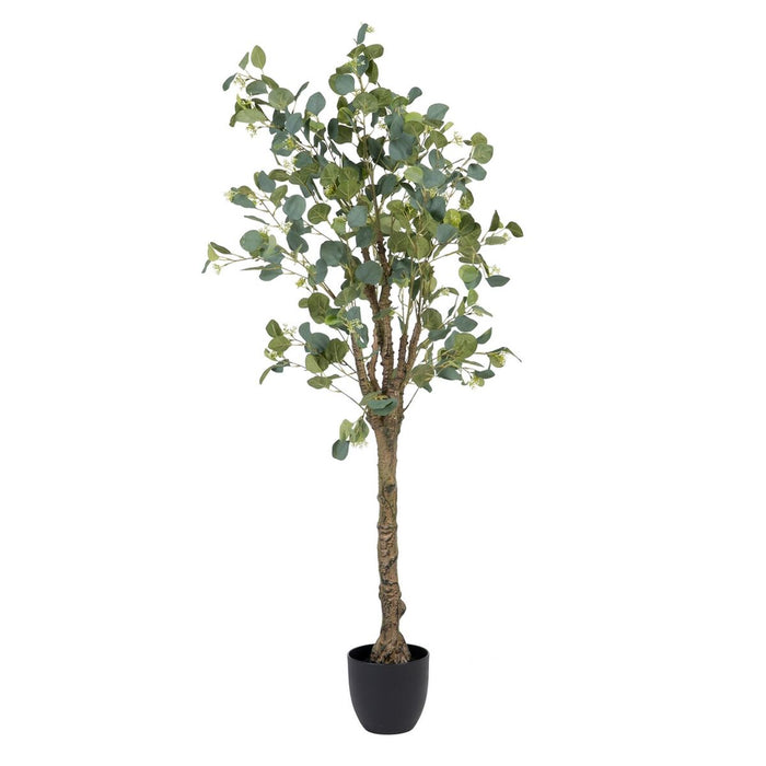 Decorative Plant 78 x 68 x 150 cm Green PVC Eucalyptus