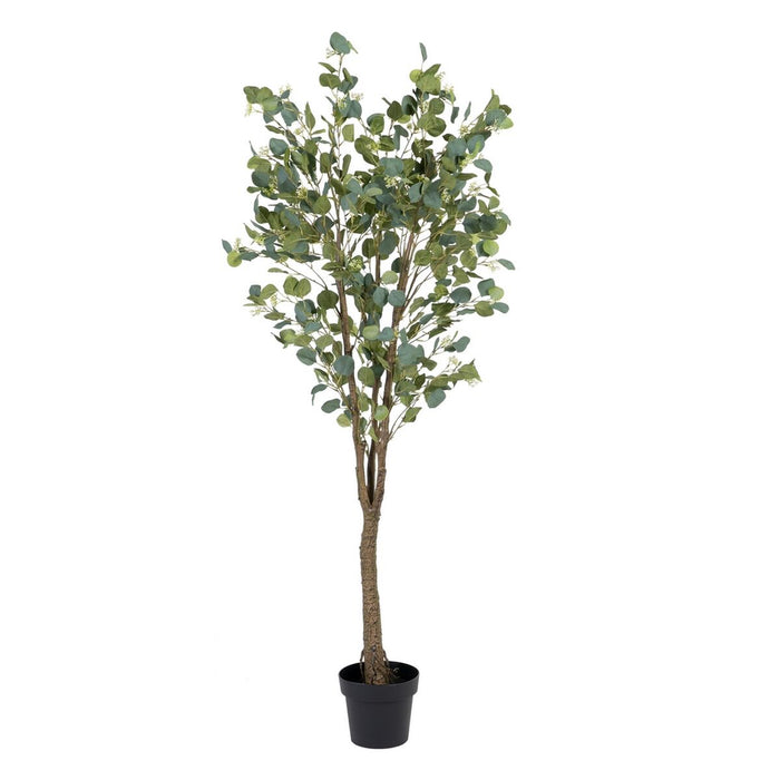 Decorative Plant 80 x 75 x 173 cm Green PVC Eucalyptus