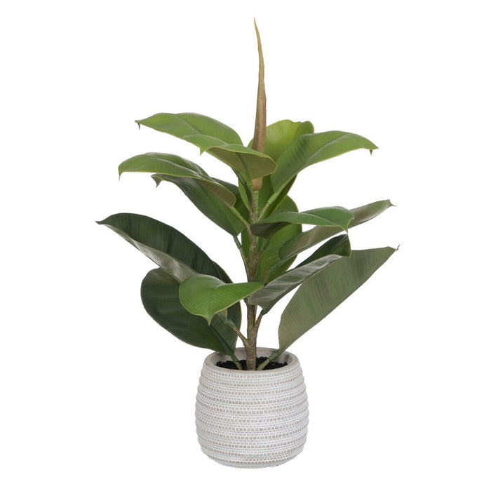 Decorative Plant Green PVC Oak 58 cm