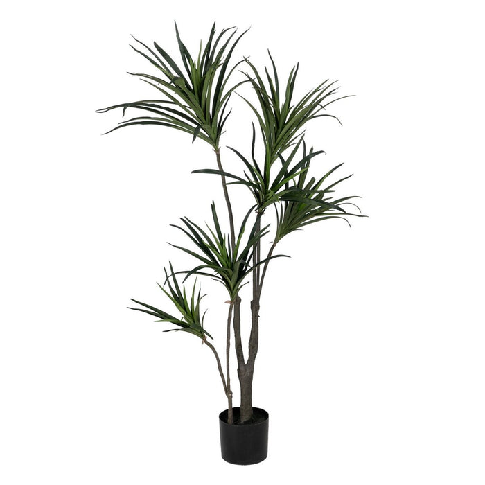 Decorative Plant Rubber polypropylene 70 x 70 x 130 cm