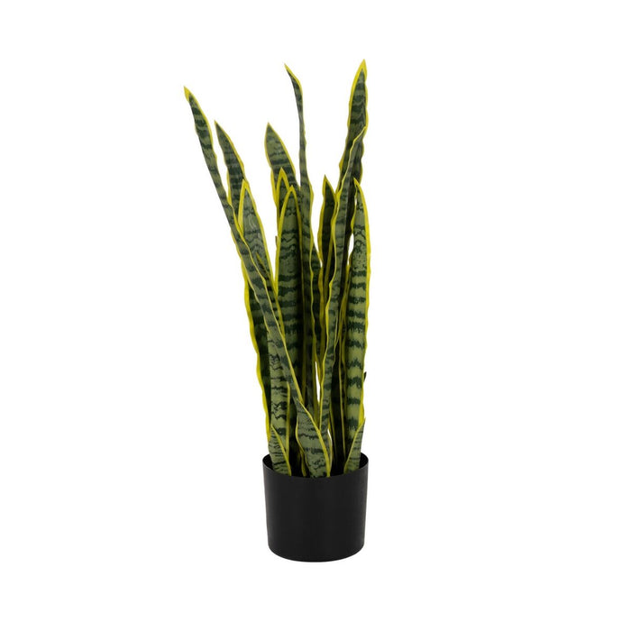 Decorative Plant Rubber polypropylene 20 x 20 x 80 cm