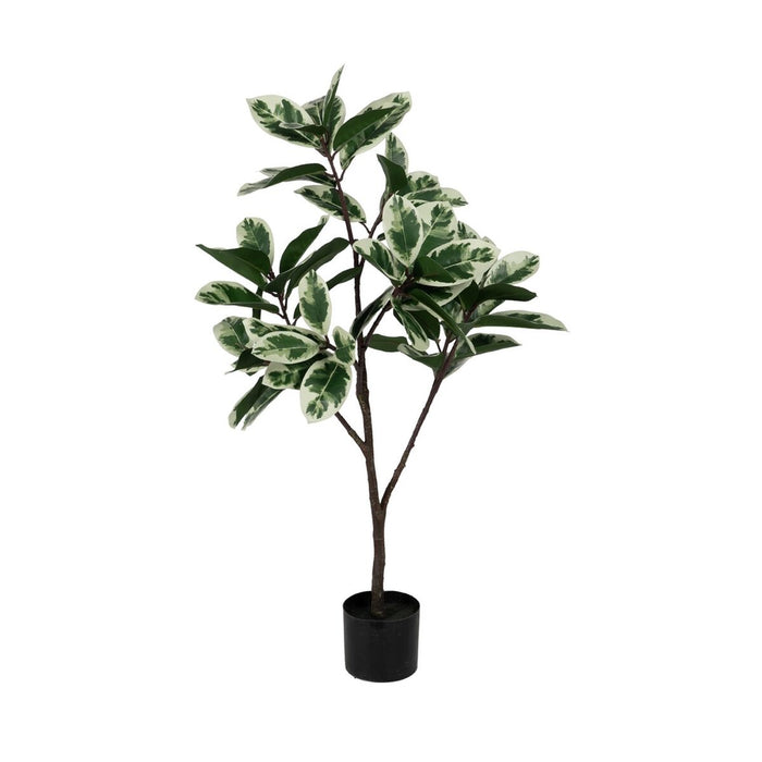 Decorative Plant Rubber polypropylene 50 x 50 x 120 cm