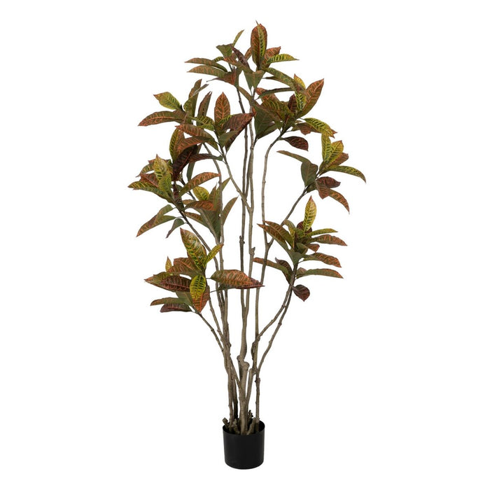 Decorative Plant Rubber polypropylene 60 x 60 x 150 cm