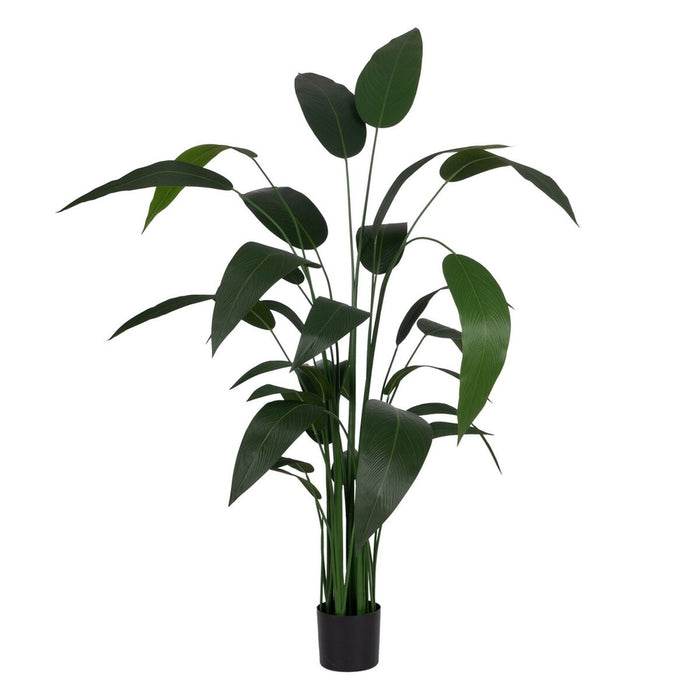 Decorative Plant PVC Cement Fabric Bird of paradise 50 x 50 x 220 cm