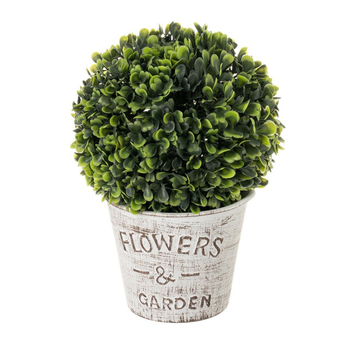 Decorative Plant Polyethylene polypropylene Cement 17 x 17 x 27 cm