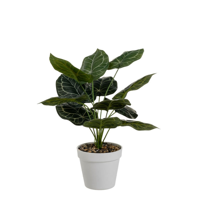 Decorative Plant Polyethylene Plastic 26 x 26 x 43 cm