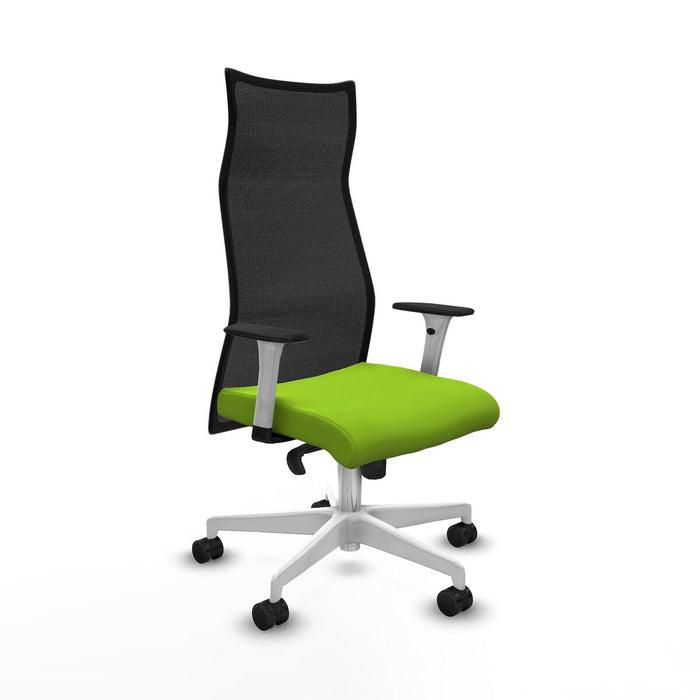 Office Chair Piqueras y Crespo B1B026N Pistachio
