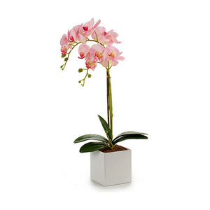 Decorative Plant Orchid 18 x 47 x 14 cm Plastic (6 Units)