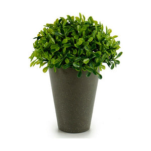 Decorative Plant Plastic 13 x 16 x 13 cm Green Grey (12 Units)
