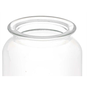 Jar Transparent Glass 600 ml (12 Units) With lid